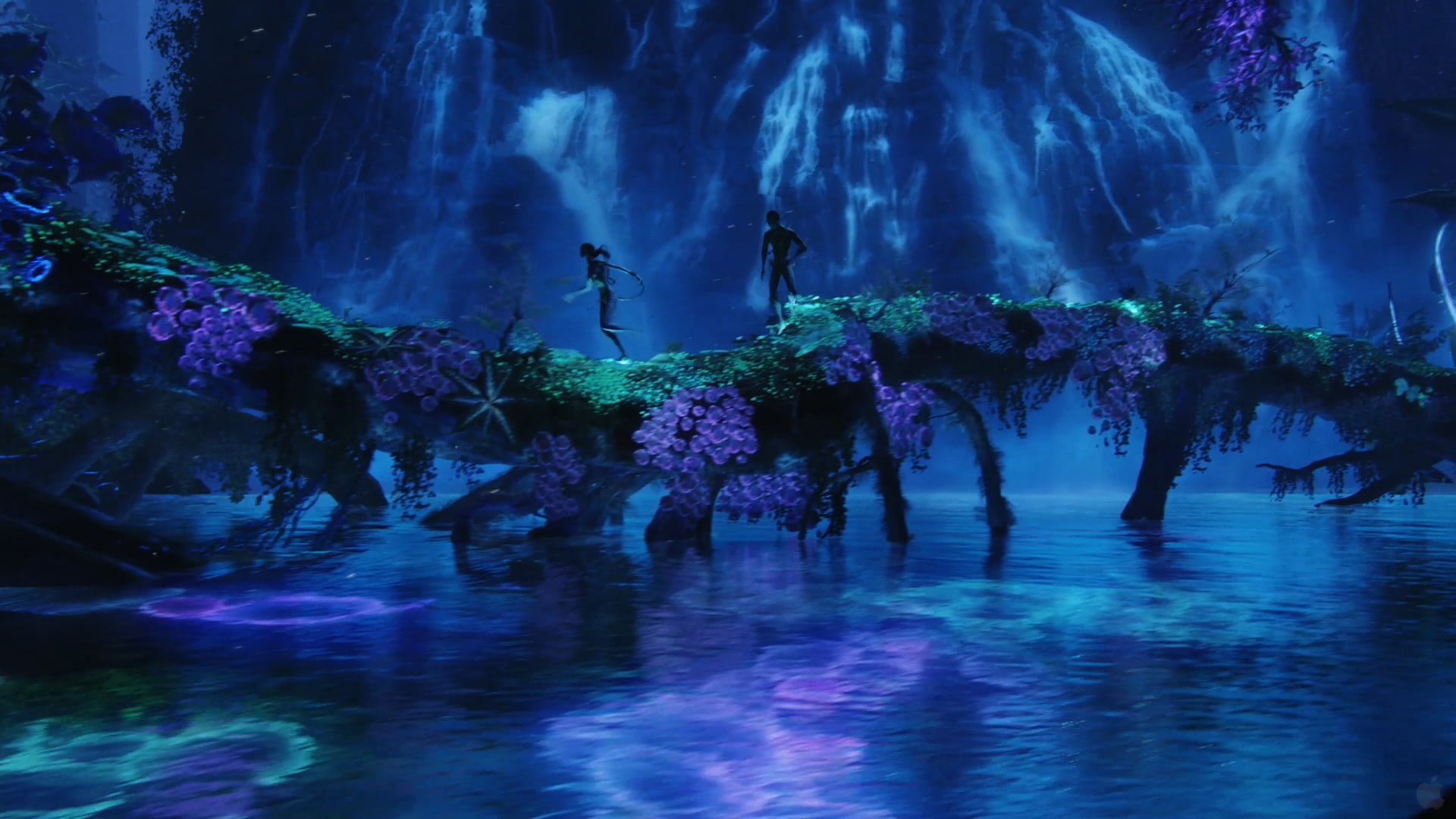 pictures waterfall avatar night blue wallpaper desktop pandora lagoon
