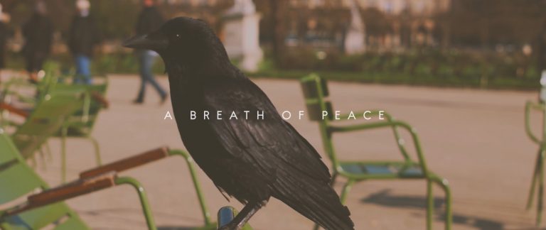 Short of the Week #23 – A BREATH OF PEACE