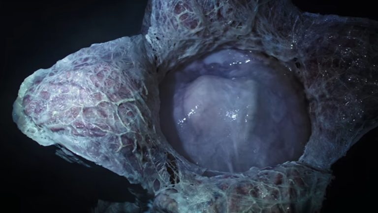 Chegou o trailer oficial de “Alien: Covenant”