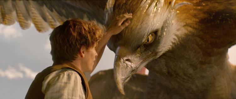 fantastic-beasts-thunderbird