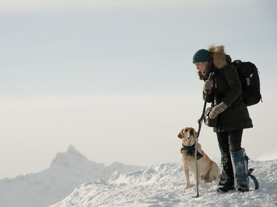 the mountain between us kate winslet