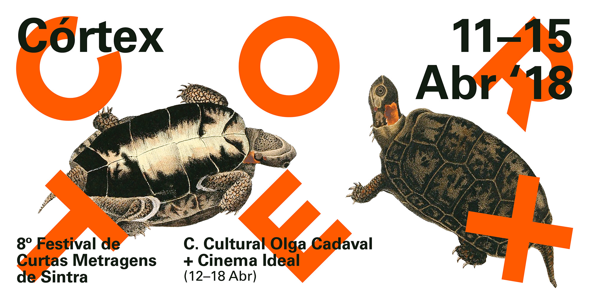 Festival Córtex – Oitava edição chega em abril