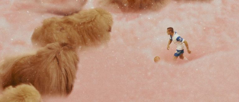 Filmes portugueses na Semana da Crítica em Cannes