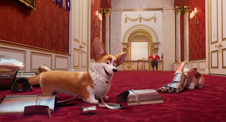 Cai na Real, Corgi!