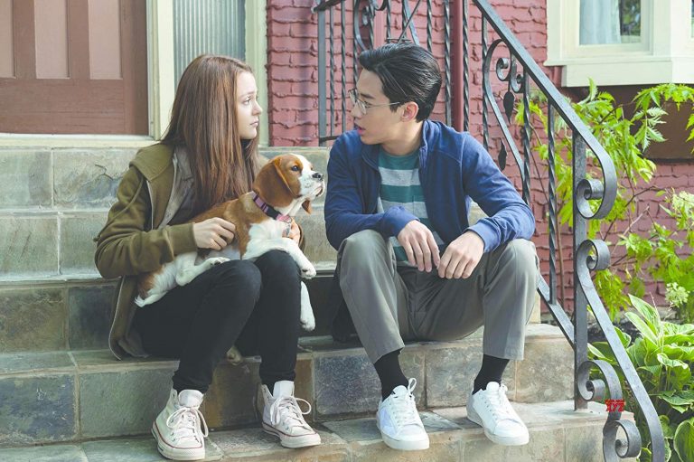 Juntos Para Sempre 2 – Um segundo propósito canino
