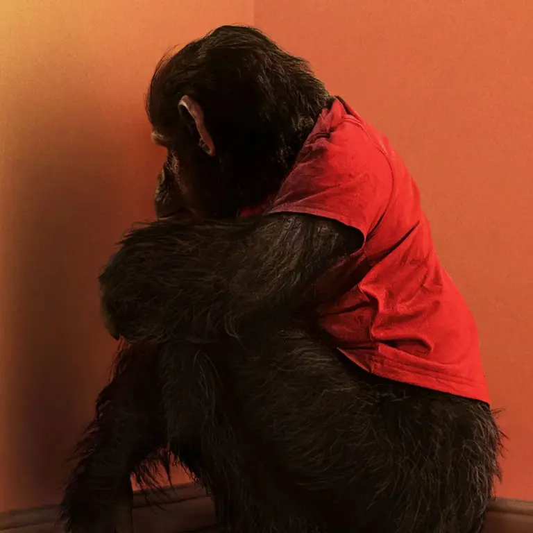 Primate: O Novo Filme de Terror Com Primatas a 9 de Janeiro – Conheça os Detalhes