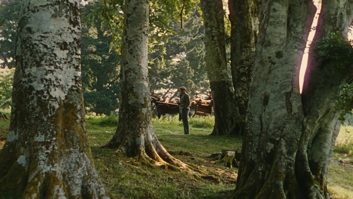 O Homem Tranquilo 1 copiar